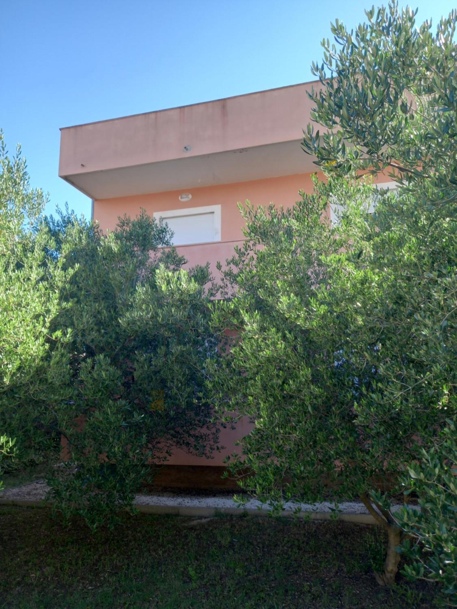 Dani Apartment Zadar Exterior photo